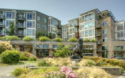 Luxury Studio Condo In The Heart Of Downtown Kirkland